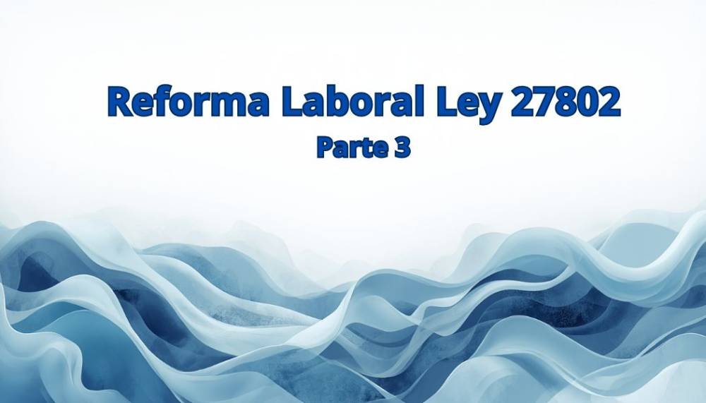 Ref. Laboral Ley 27802 Parte 3